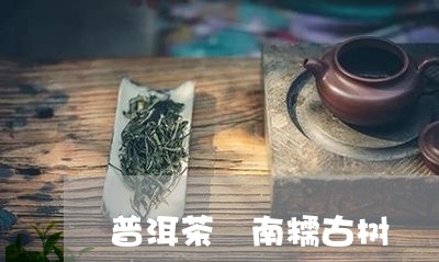 普洱茶 南糯古树/2023040111794